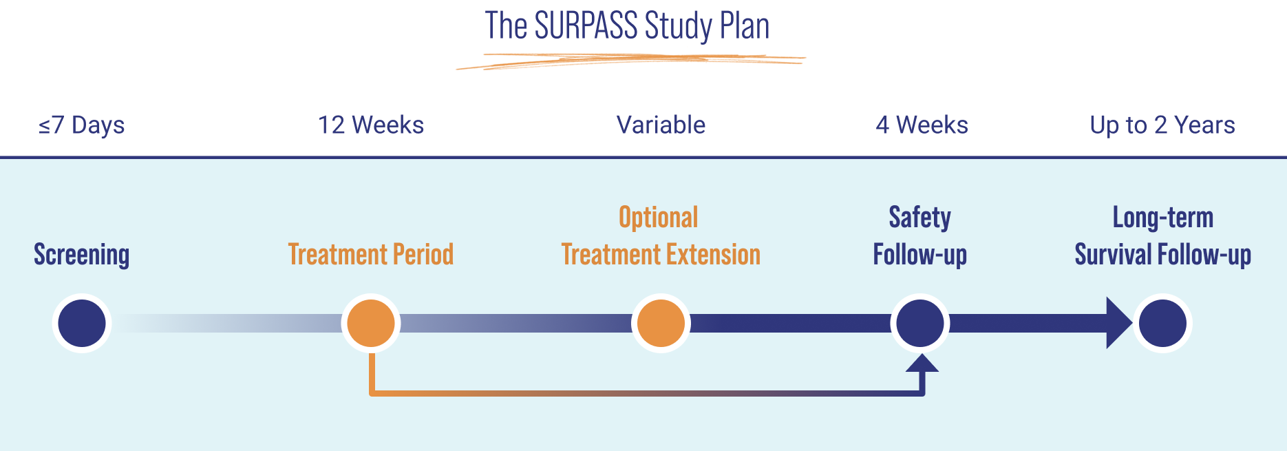 This graphic outlines the SURPASS study timeline. The process begins with a screening period of up to 7 days. Next, participants receive treatment with ELA-026 for 12 weeks, with an optional extension available. Following treatment, there is a 4-week close monitoring phase to evaluate safety. The final phase is a long-term follow-up period of up to 2 years to assess safety and efficacy.